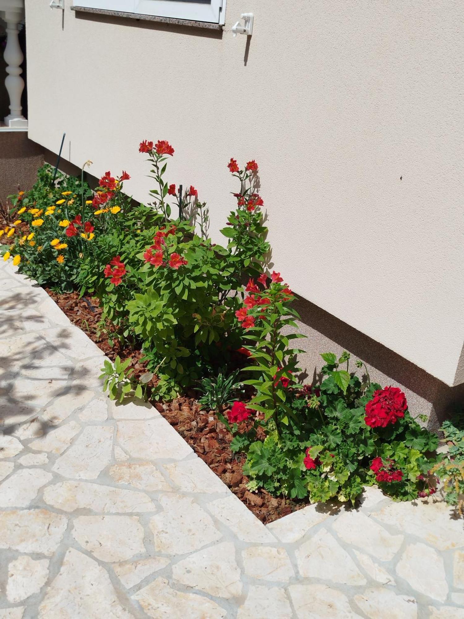 Apartments Juric プリヴラカ エクステリア 写真
